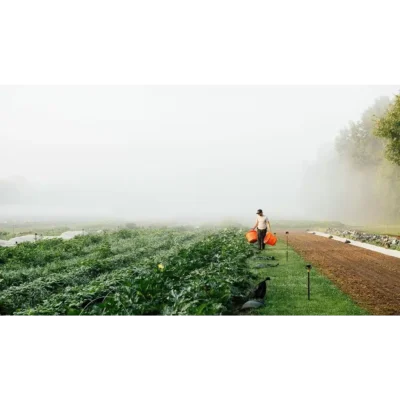 Granor Farm Polenta - Image 2