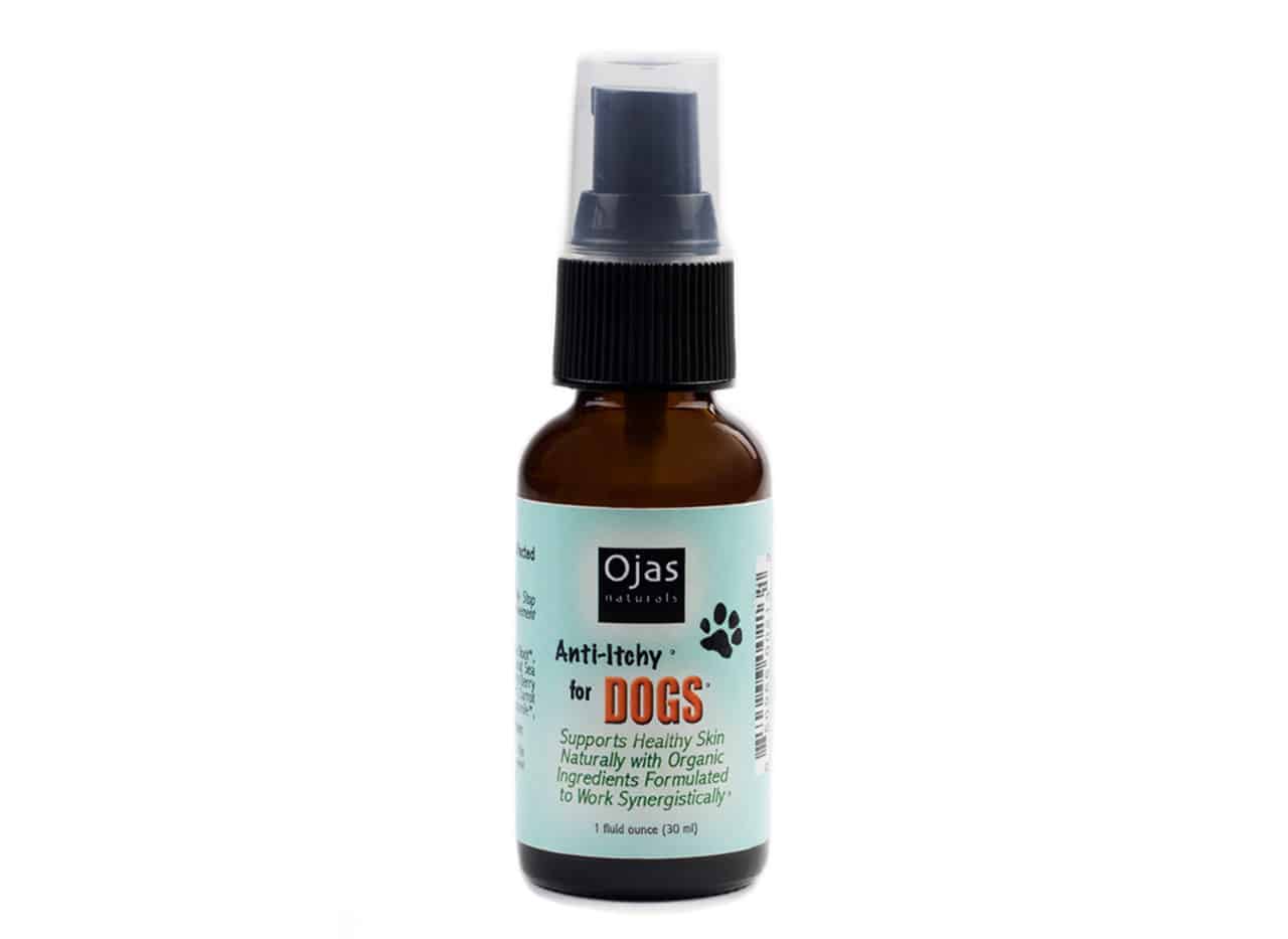 Anty_Itchy_Dogs-new__44673 Anti-Itchy Spray For Dogs - Image 1