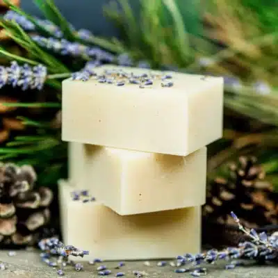 Dog Shampoo:Cedarwood Lavender - Image 3