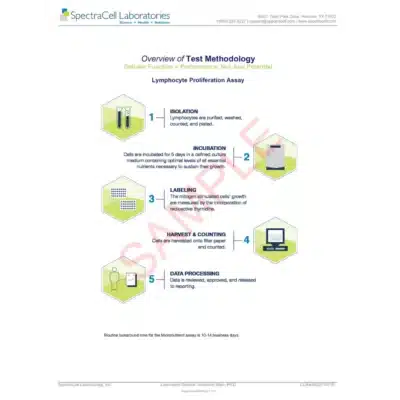 Micronutrient Testing (MNT) - SpectraCell - Image 8