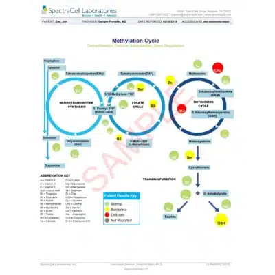 Micronutrient Testing (MNT) - SpectraCell - Image 10