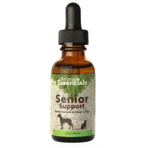 Senior Support