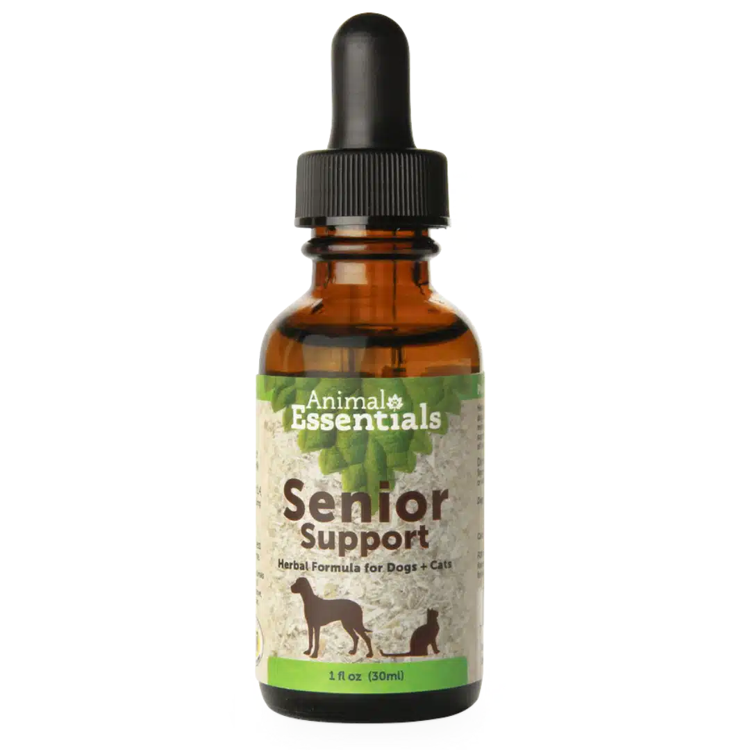 Senior Support 01 Senior Support