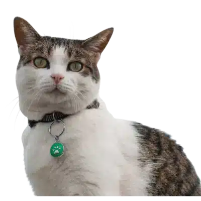 Pet Bioprotector Collar Tags - Image 2