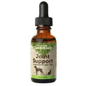 Joint Support